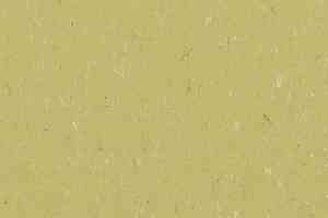 Линолеум Forbo Marmoleum Solid Piano 3634-363435 meadow фото  | FLOORDEALER